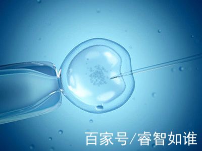 关于专业同性供卵助孕收费标准